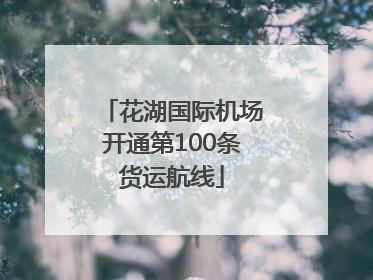 花湖国际机场开通第100条货运航线