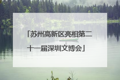 苏州高新区亮相第二十一届深圳文博会