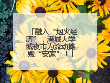 融入“烟火经济”，港城大学城夜市为流动摊贩“安家”！
