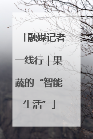 融媒记者一线行｜果蔬的“智能生活”
