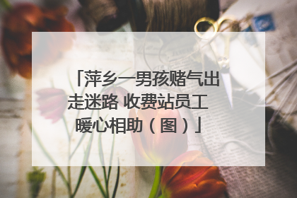萍乡一男孩赌气出走迷路 收费站员工暖心相助（图）