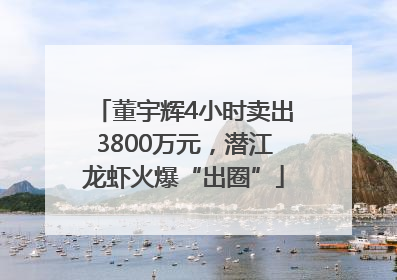 董宇辉4小时卖出3800万元，潜江龙虾火爆“出圈”