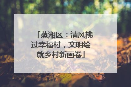蒸湘区：清风拂过幸福村，文明绘就乡村新画卷