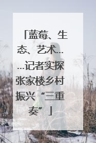蓝莓、生态、艺术……记者实探张家楼乡村振兴“三重奏”