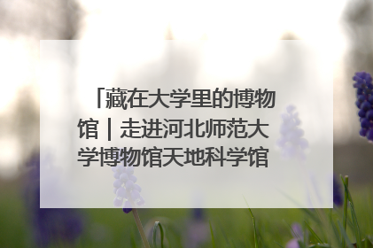 藏在大学里的博物馆｜走进河北师范大学博物馆天地科学馆：在校园里赴一场“宇宙之约”