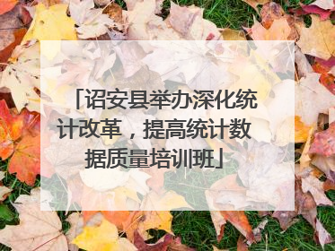 诏安县举办深化统计改革，提高统计数据质量培训班