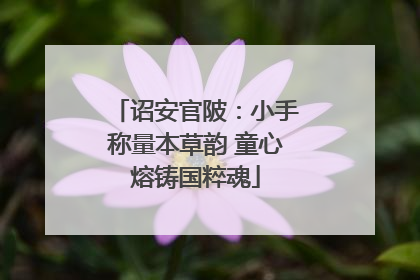 诏安官陂：小手称量本草韵 童心熔铸国粹魂