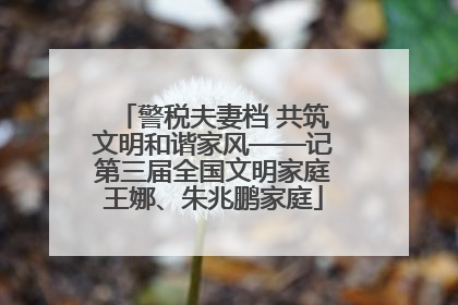 警税夫妻档 共筑文明和谐家风——记第三届全国文明家庭王娜、朱兆鹏家庭