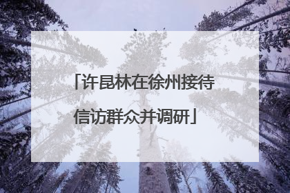 许昆林在徐州接待信访群众并调研