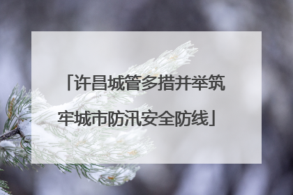 许昌城管多措并举筑牢城市防汛安全防线