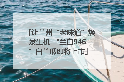 让兰州“老味道”焕发生机 “兰白946”白兰瓜即将上市