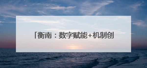 衡南：数字赋能+机制创新 打造营商环境新高地