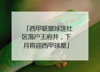 西甲联盟球迷社区落户王府井，下月将迎西甲球星