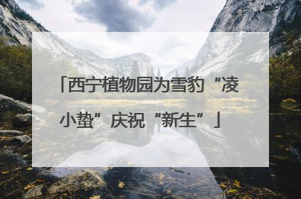 西宁植物园为雪豹“凌小蛰”庆祝“新生”