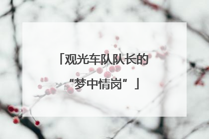 观光车队队长的“梦中情岗”