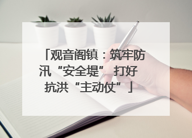观音阁镇：筑牢防汛“安全堤” 打好抗洪“主动仗”