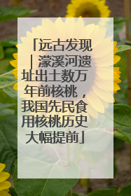 远古发现｜濛溪河遗址出土数万年前核桃，我国先民食用核桃历史大幅提前