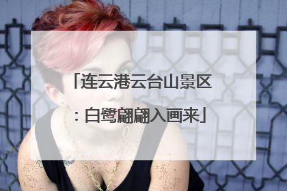 连云港云台山景区：白鹭翩翩入画来