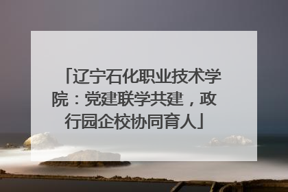 辽宁石化职业技术学院：党建联学共建，政行园企校协同育人
