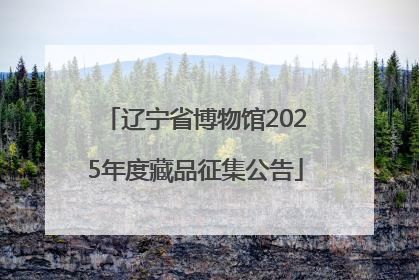 辽宁省博物馆2025年度藏品征集公告