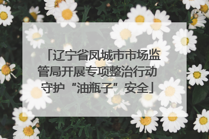 辽宁省凤城市市场监管局开展专项整治行动守护“油瓶子”安全