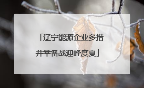 辽宁能源企业多措并举备战迎峰度夏