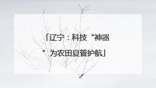 辽宁：科技“神器”为农田夏管护航