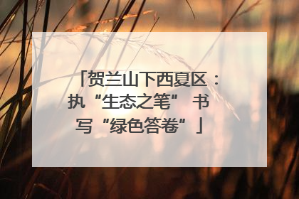 贺兰山下西夏区：执“生态之笔” 书写“绿色答卷”