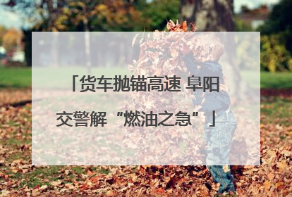 货车抛锚高速 阜阳交警解“燃油之急”