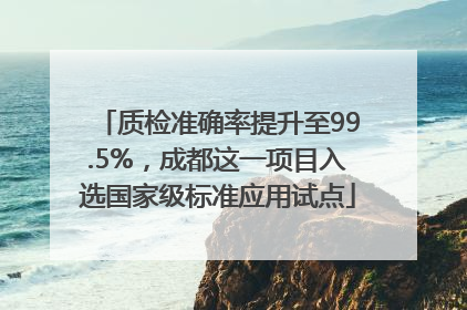 质检准确率提升至99.5%，成都这一项目入选国家级标准应用试点