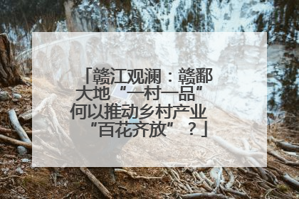 赣江观澜：赣鄱大地“一村一品”何以推动乡村产业“百花齐放”？