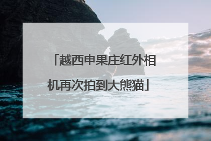 越西申果庄红外相机再次拍到大熊猫
