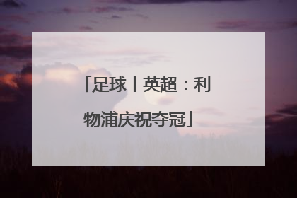 足球丨英超：利物浦庆祝夺冠