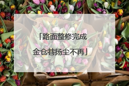 路面整修完成 金仓巷扬尘不再
