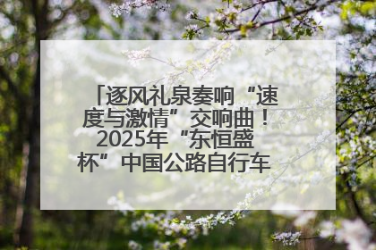 逐风礼泉奏响“速度与激情”交响曲！2025年“东恒盛杯”中国公路自行车联赛第五站（陕西·礼泉站）正式开赛