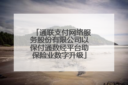 通联支付网络服务股份有限公司以保付通数经平台助保险业数字升级