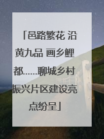 邑路繁花 沿黄九品 画乡鲤都……聊城乡村振兴片区建设亮点纷呈