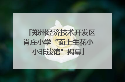 郑州经济技术开发区肖庄小学“面上生花小小非遗馆”揭幕