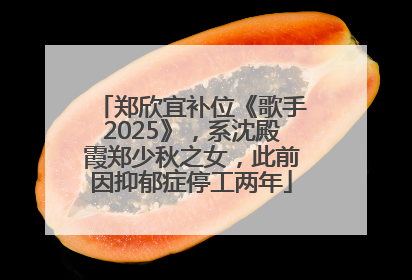 郑欣宜补位《歌手2025》，系沈殿霞郑少秋之女，此前因抑郁症停工两年
