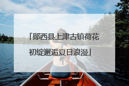 郧西县上津古镇荷花初绽邂逅夏日浪漫