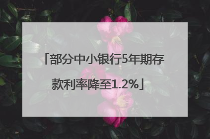 部分中小银行5年期存款利率降至1.2%
