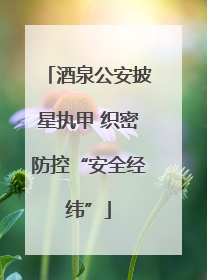 酒泉公安披星执甲 织密防控“安全经纬”