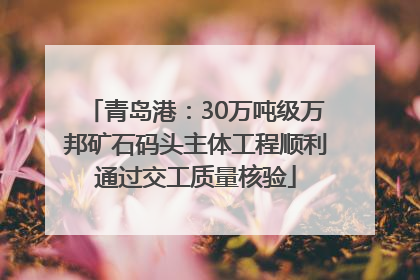 青岛港：30万吨级万邦矿石码头主体工程顺利通过交工质量核验