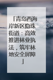 青岛西海岸新区隐珠街道：高效推进林业执法，筑牢林地安全屏障