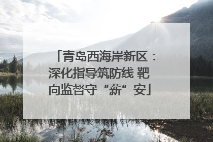 青岛西海岸新区：深化指导筑防线 靶向监督守“薪”安