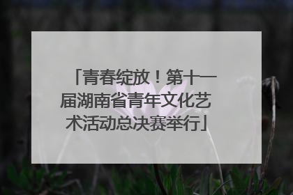 青春绽放！第十一届湖南省青年文化艺术活动总决赛举行
