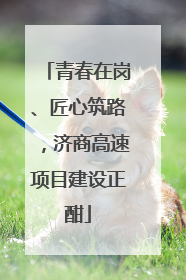 青春在岗、匠心筑路，济商高速项目建设正酣