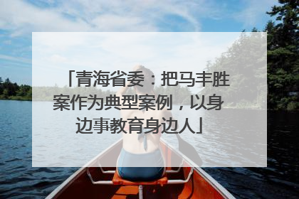 青海省委：把马丰胜案作为典型案例，以身边事教育身边人