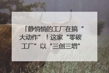 静悄悄的工厂在搞“大动作”！这家“零碳工厂”以“三创三增”探索共富新路径｜网络名人四川行