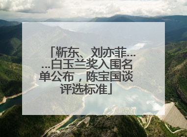 靳东、刘亦菲……白玉兰奖入围名单公布，陈宝国谈评选标准